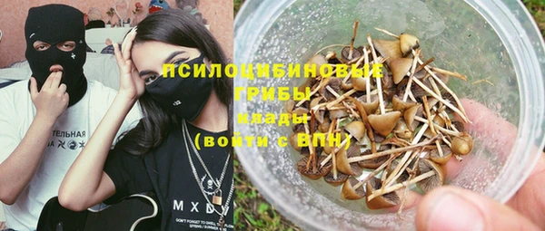 mdpv Белокуриха