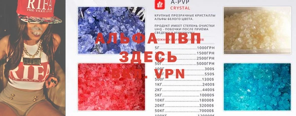 прущие крисы Богданович